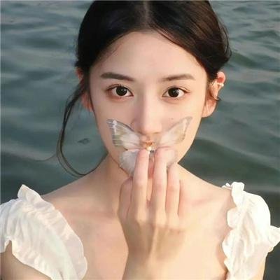 最后的骑士